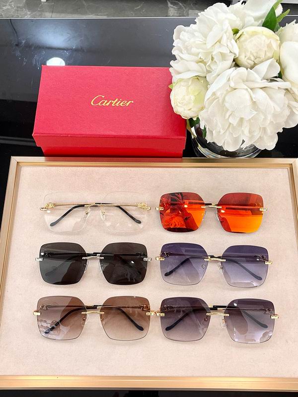 Cartier Glasses smx (601)